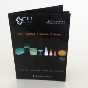 ICU Catalogue (2)